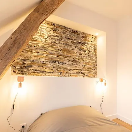 Le Khalo - Chateau D'angers - La Bonne Marienne Apartment