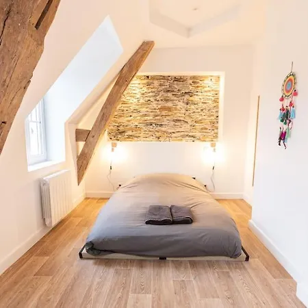 Apartamento Le Khalo - Chateau D'angers - La Bonne Marienne Angers